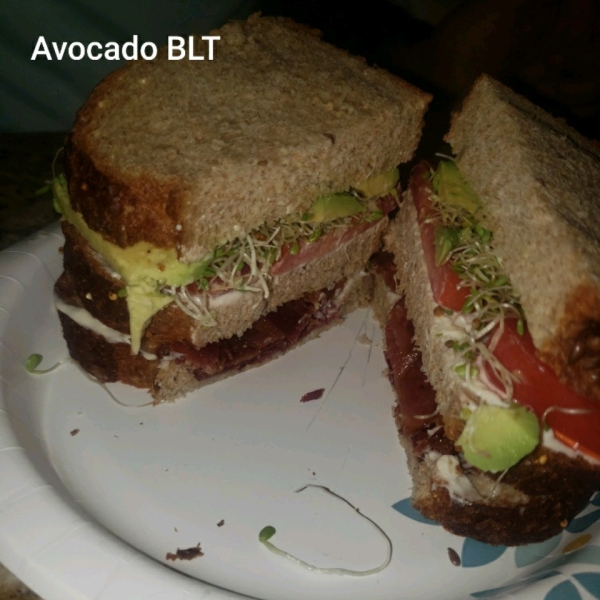 Midnight Snack Avocado Sandwich