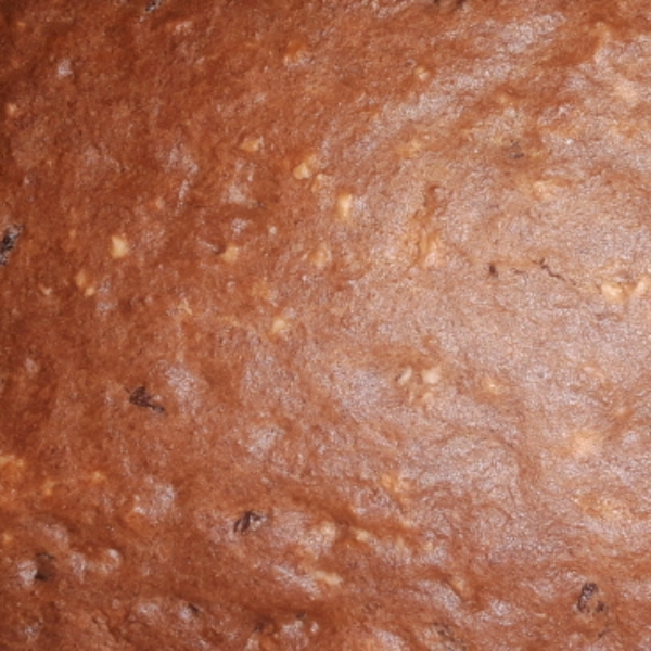 Applesauce Squares