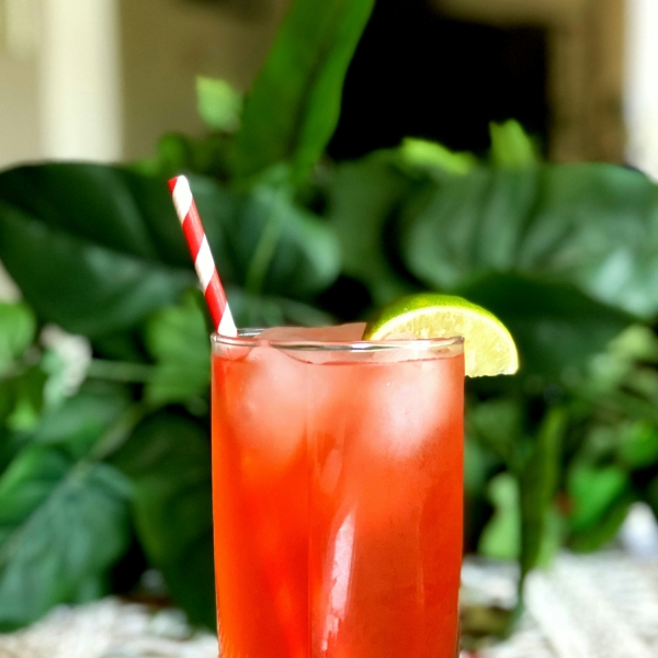Prickly Pear Tonic and Lime
