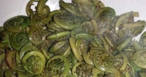 Easy Sautéed Fiddleheads