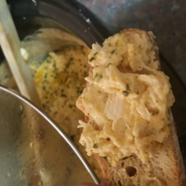 Buffalo Chicken Dip in the Slow Cooker