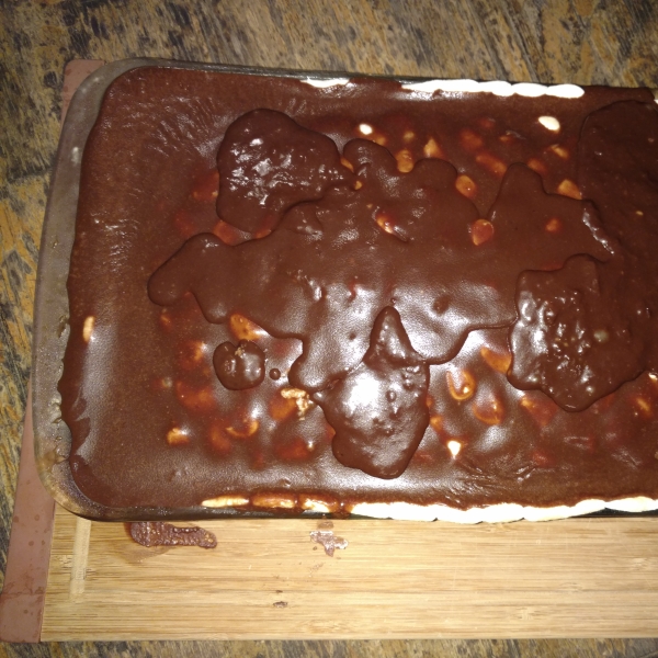 Mississippi Mud Cake I