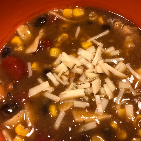 Vegetarian Tortilla Stew