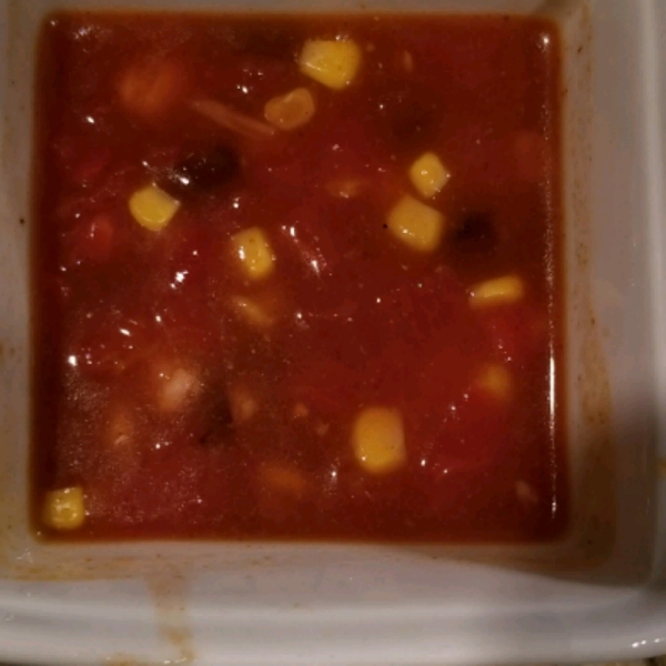 Vegetarian Tortilla Stew