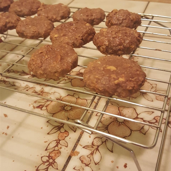 Lactation-Friendly Cookies