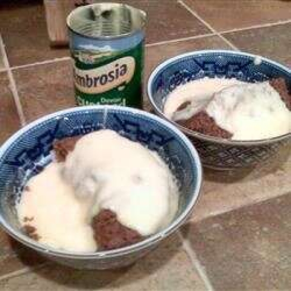 Microwave Sponge Pudding