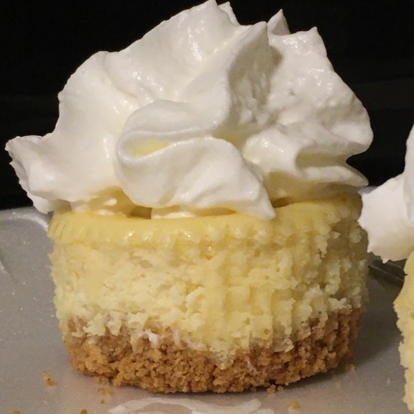 Cheese Cake Cups
