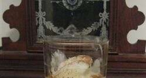 Early American Eggnog