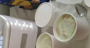 Truly Key Lime Pie Ice Cream