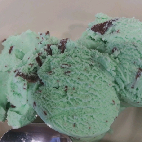 Easy Mint Chocolate Chip Ice Cream