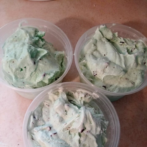 Easy Mint Chocolate Chip Ice Cream