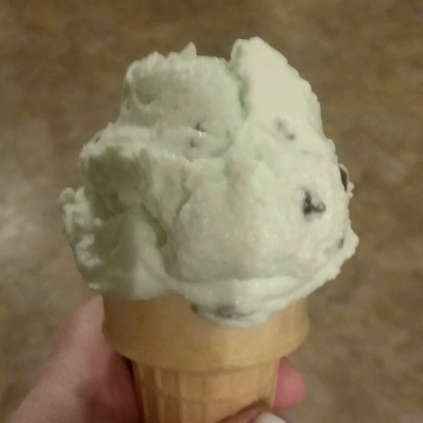Easy Mint Chocolate Chip Ice Cream