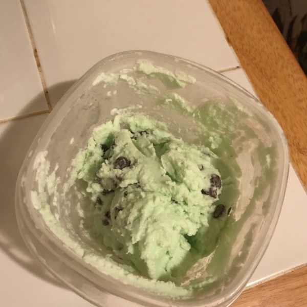 Easy Mint Chocolate Chip Ice Cream