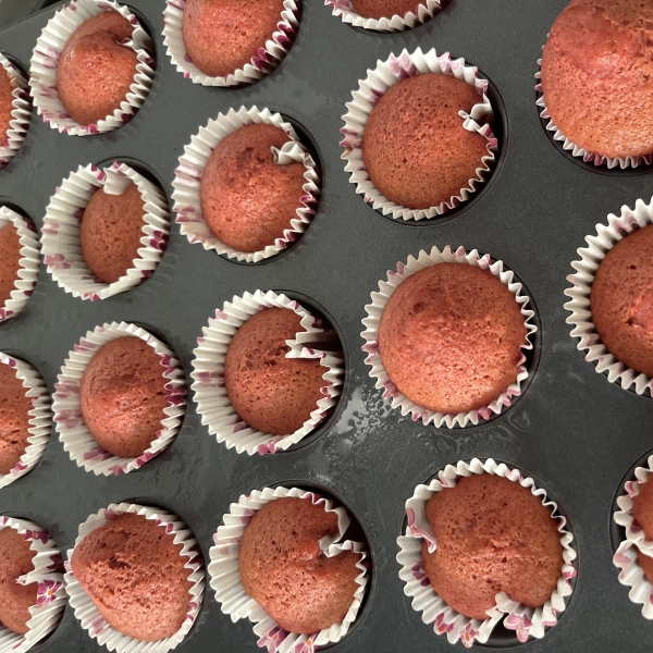 Chocolate Cupcakes