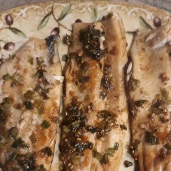 Asian Rainbow Trout