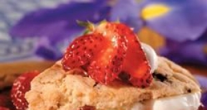 Chocolate Chip Strawberry Shortcake