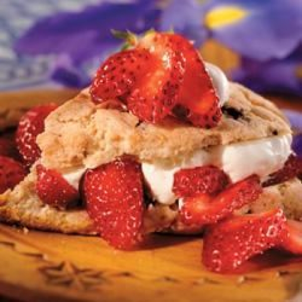 Chocolate Chip Strawberry Shortcake
