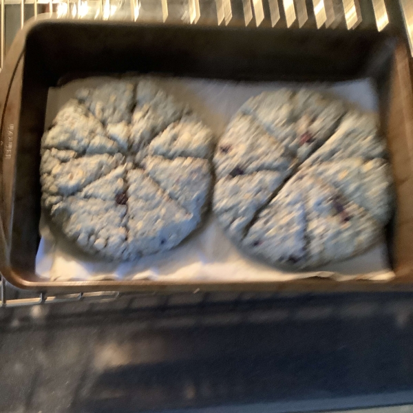 Scottish Oat Scones