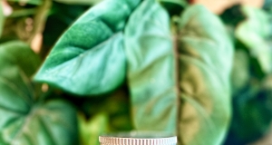 Creole Spice Mix