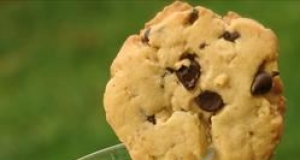 Best Chocolate Chippers