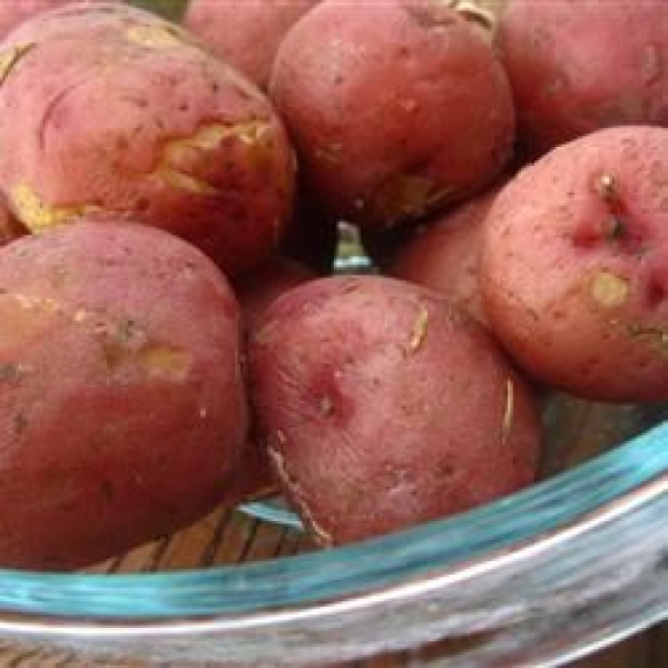 Screaming Potatoes