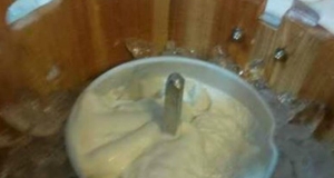 Homemade Coconut Ice Cream
