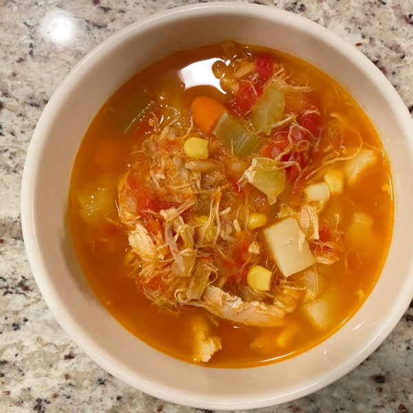 Alabama Chicken Stew