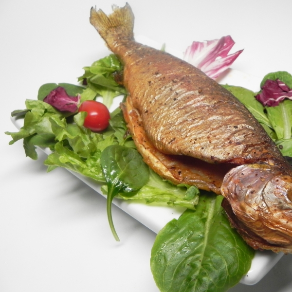 Coaled and Tinned Trout