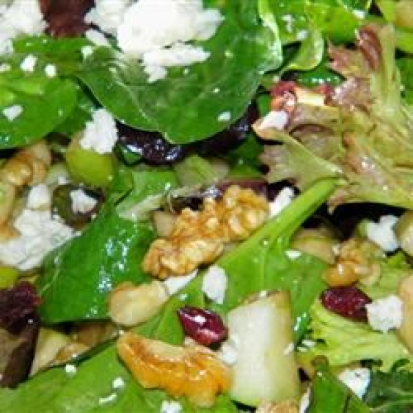 Apple-Cranberry Salad