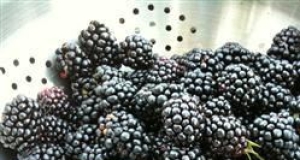 BJ's Easy Blackberry Cobbler