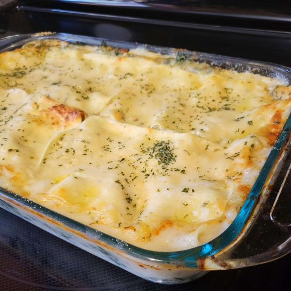 White Cheese Chicken Lasagna