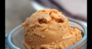 Vegan Pumpkin Ice Cream