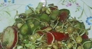 Sprouted Lentil Salad