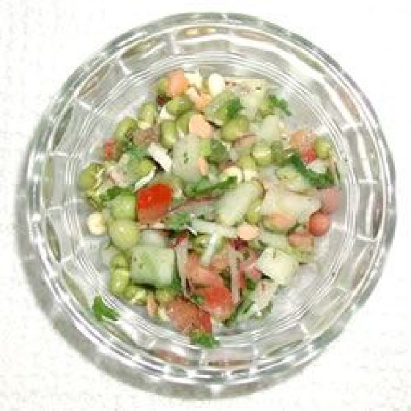 Sprouted Lentil Salad