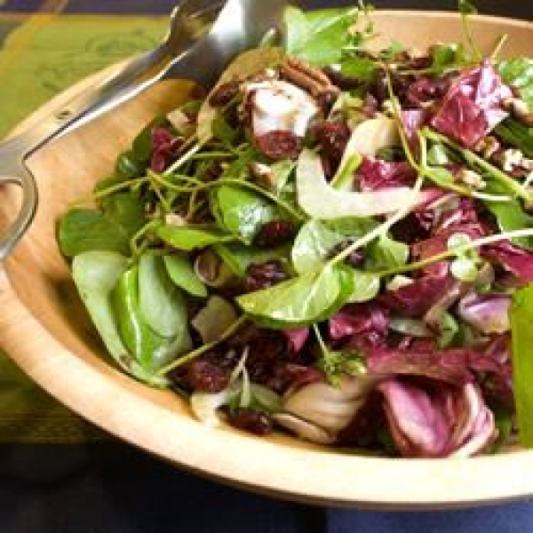 Fennel and Watercress Salad
