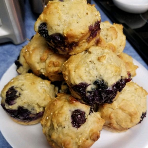 Get-Up-and-Go Muffins with Greek Yogurt, Oatmeal, and Blueberries