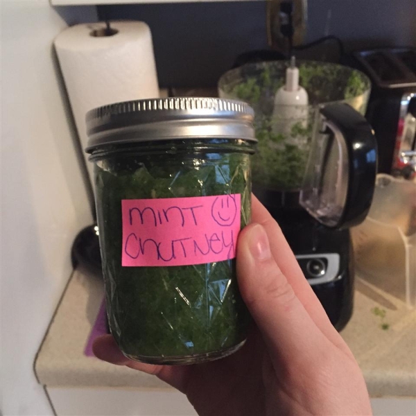 Mint Chutney