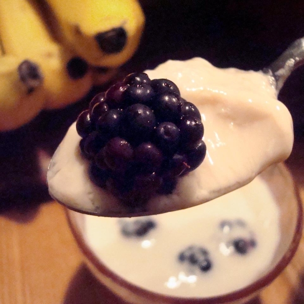 Homemade Yogurt