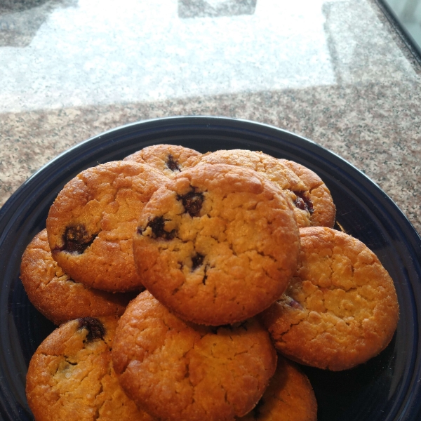 Oatmeal Blueberry Muffins