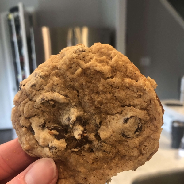 Dark Chocolate Chip Cookies with Greek Yogurt