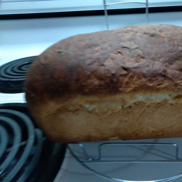 Portuguese Sweet Bread I