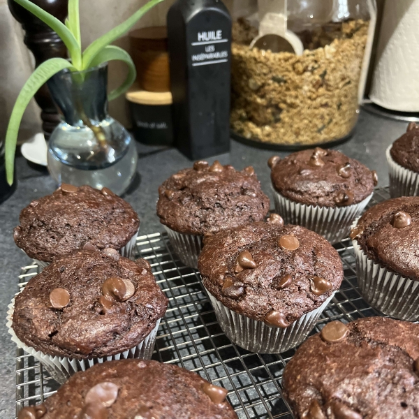 Moist Chocolate Muffins