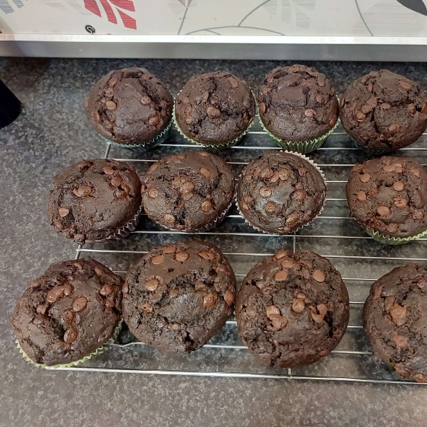 Moist Chocolate Muffins