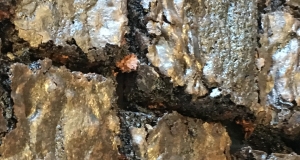 High Altitude Deep Dish Brownies