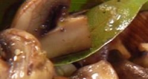 Easy Marinated Mushrooms