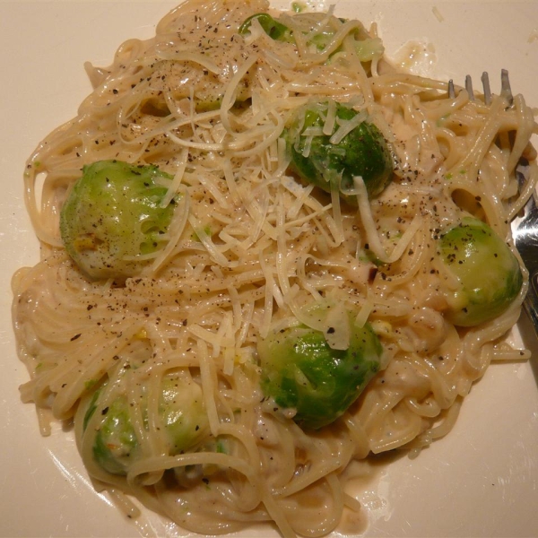 Alfredo Light