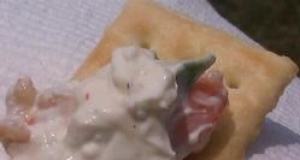 Delicious Shrimp Dip