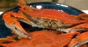 Delaware Blue Crab Boil