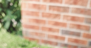 Simple Chocolate-Covered Almonds