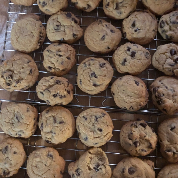 Never Fail Chocolate Chip Cookies